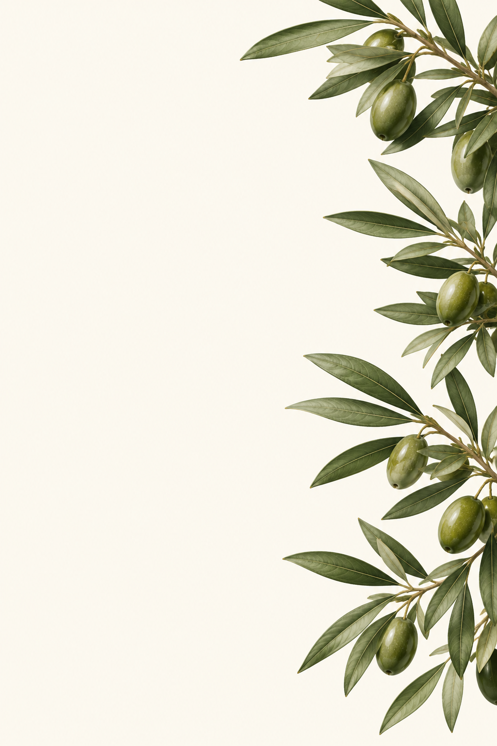 Olive Foliage
